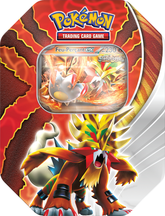 Pokemon Boîte Destinée Paradoxe Feu-Perçant EX (FRENCH)