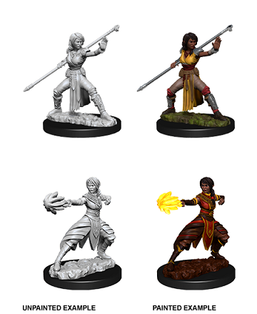 DND Unpainted Minis WV10 Female Half-Elf Monk